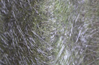 Handsacre fibreglass roof work